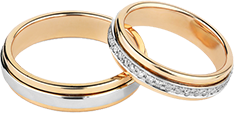 Collection Ring 2